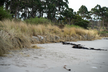 coastal erosion on a beach in australia