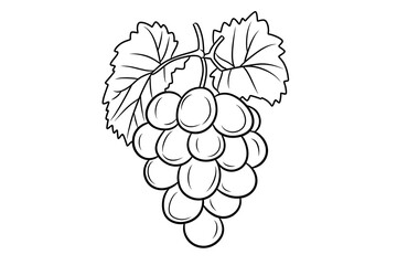 Grapes: Vine Fruit Cluster, Drawing Guide