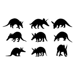 Aardvark silhouette on white background.
