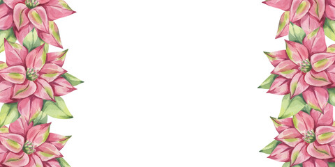 Poinsettia pink red banner frame, winter flower with leaves. Traditional plant for Christmas decoration. Happy New Year! Hand drawn watercolor illustration isolated on white background.