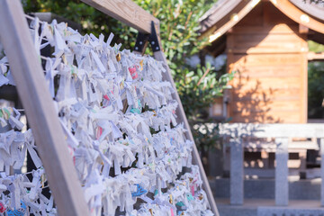 a lot of paper fortune slips tied on the rode in kashiwa shinto shrine