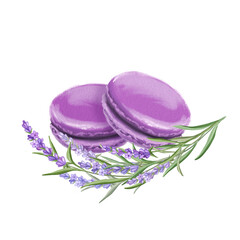 French macaroons with lavender. Hand-drawn illustration.