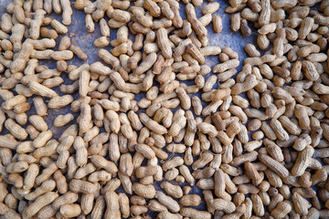 Freshly Harvested Peanuts from Local Farmers