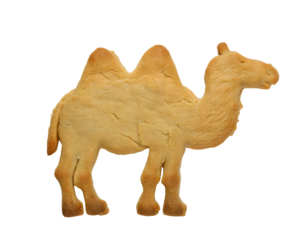 Detailed camel-shaped butter cookie with intricate hump and facial features on an isolated black background, perfect for desert-themed snacks and creative dessert photography
