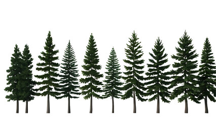 Fototapeta premium Silhouette of a line of pine trees against a white background