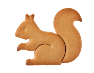Charming squirrel-shaped butter cookie with detailed tail and body design on an isolated black background, perfect for woodland-themed snacks and creative dessert photography
