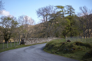 Scenic winding road in rural Scotland with lush greenery and stone wall under clear blue sky