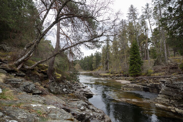 Scenic view of a tranquil river surrounded by lush Scottish forest during overcast weather in...