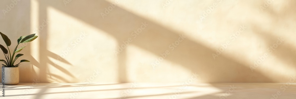 Aufkleber Sunlight streaming through window creates beautiful shadows on wall in empty room with potted plant on floor, perfect for showcasing products or designs