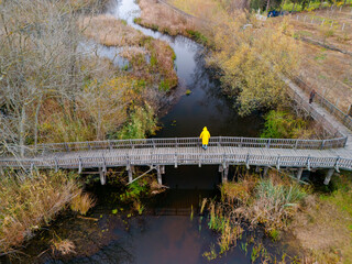 Acarlar Longozu Sakarya Adapazari Karasu Turkey Turkiye Drone Shot. High-angle view of a wooden walkway spanning a tranquil marsh in autumn.Wooden boardwalk over a serene autumnal marsh