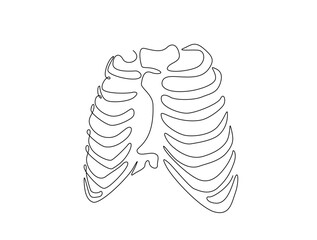 Continuous one line drawing of human rib cage. The ribs single line art vector illustration. Editable stroke.