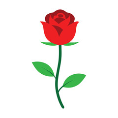 Fototapeta premium Simple Rose Illustration
