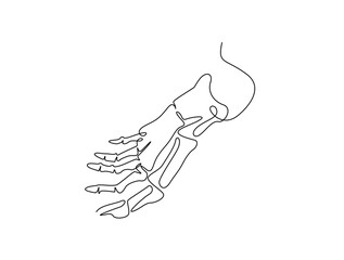 Continuous one line drawing bones of human foot.  bones of the foot in single line art vector illustration. Editable stroke.