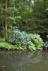 Parc des sources d'Elle, Rouxeville, 50, Manche, France
