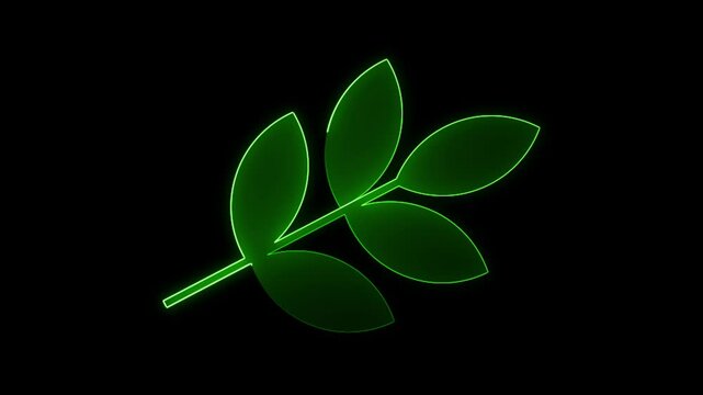 Neon line green color Animated leaf icon on black background video.