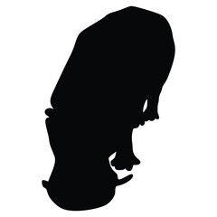 hippopotamus silhouette set collection isolated black on white background vector illustration