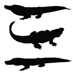 Alligator silhouette vector art white background
