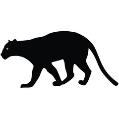 Puma black silhouette, Vector wildcat illustration. Side view predator animal isolated on white background 