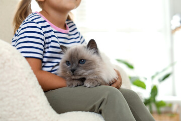 Little girl with cute kitten at home, closeup