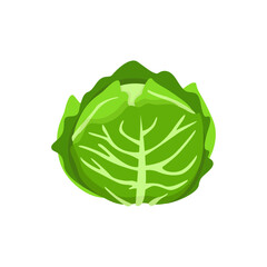 Vegetable Illustration