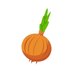 Vegetable Illustration