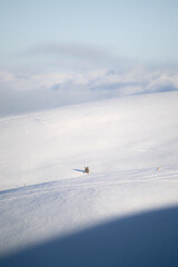 snow on the edge of the mountain