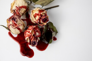 A Bloody dead buds of rose with blood on a white background. Dry flowers of the rose.