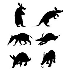 Aardvark silhouette on white background.
