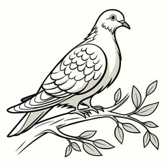 Dove Bird clipart
