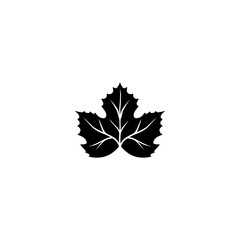 Symmetrical five lobed grape leaf icon with detailed serrated edges and central vein.