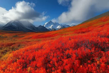  Vibrant autumn colors in a mountain landscape with snow-capped peaks and dramatic clouds © EdvvinStudios