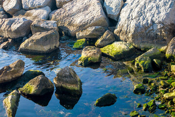 mossy rocks on the beach