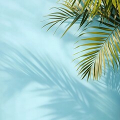 palm leaves on the light blue wall background for product presentation
