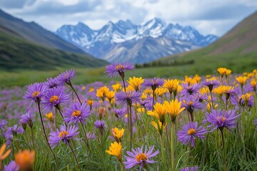 Obraz premium Vibrant wildflowers bloom in a mountainous landscape during daylight hours
