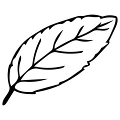 Long Textured Leaf