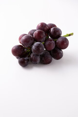 Fototapeta premium 巨峰