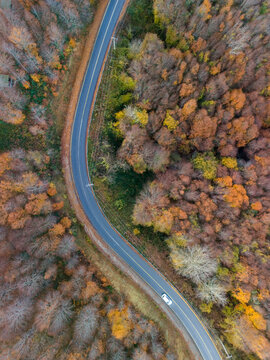 Autumn Road Winding Through Colorful Forest. High-angle, aerial view of a winding road cutting through a vibrant autumn forest. Vertical Sakarya Adapazari Turkiye Turkey Karasu Drone shot 
