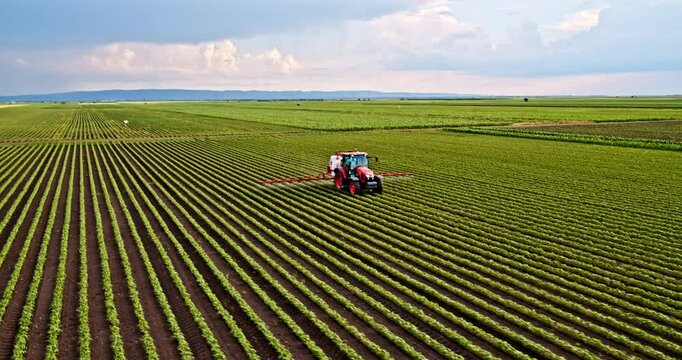 Farmer in tractor spraying an industrial soybean crops