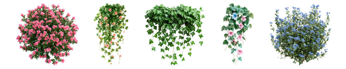 Naklejka premium Flower bush png cut out element set, transparent background