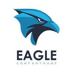 Detailed vector illustration of an eagle head with a fierce and determined expression, perfect for logos or designs.
