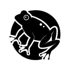 Frogs: Fascinating Facts About These Amazing Amphibians