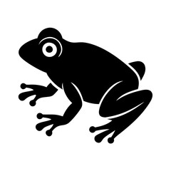 Exploring Frog Habitats: A Journey into the Wild