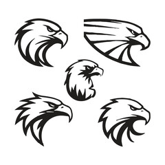 Fototapeta premium Detailed vector illustration of an eagle head with a fierce and determined expression, perfect for logos or designs. 