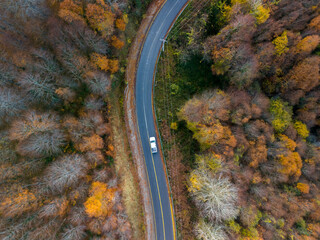 Landscape Aerial view of a winding road through a colorful autumn forest with a single vehicle.High-angle, full shot of a winding road snaking through a vibrant autumn forest. Sakarya Adapazari Karasu