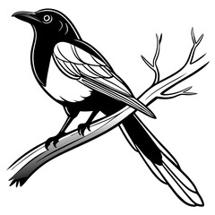Magpie