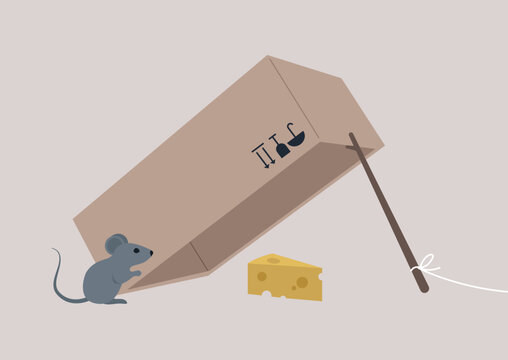 Ingenious design of a mouse trap for effective pest control in residential spaces, a simple mechanism designed to catch mice efficiently using cheese as bait while ensuring humane treatment