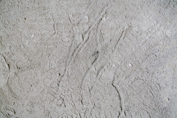 cement wall