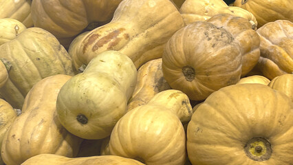 A pile of yellow squash. The squash are all different sizes and shapes. Some are small and round,...