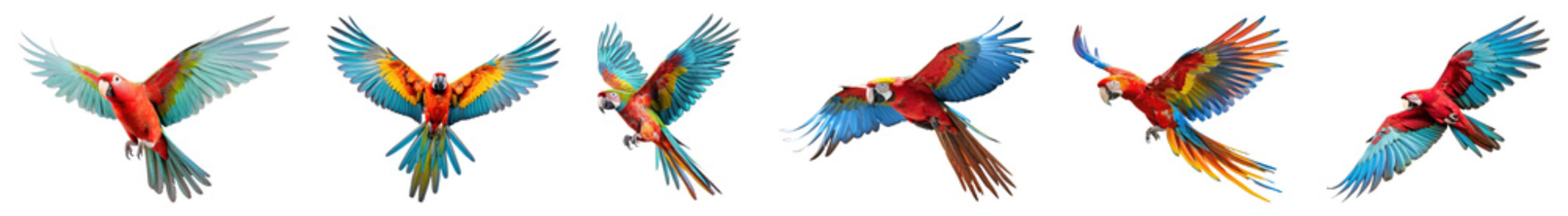 PNG Colorful parrots in flight, isolated element set, transparent background