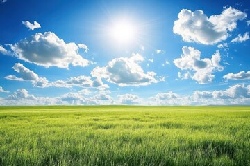 Fototapeta premium Vibrant meadow scene beneath clear blue sky with fluffy white clouds for nature photography lovers